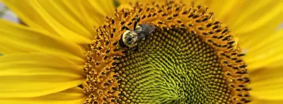 summer-banner-4.jpg