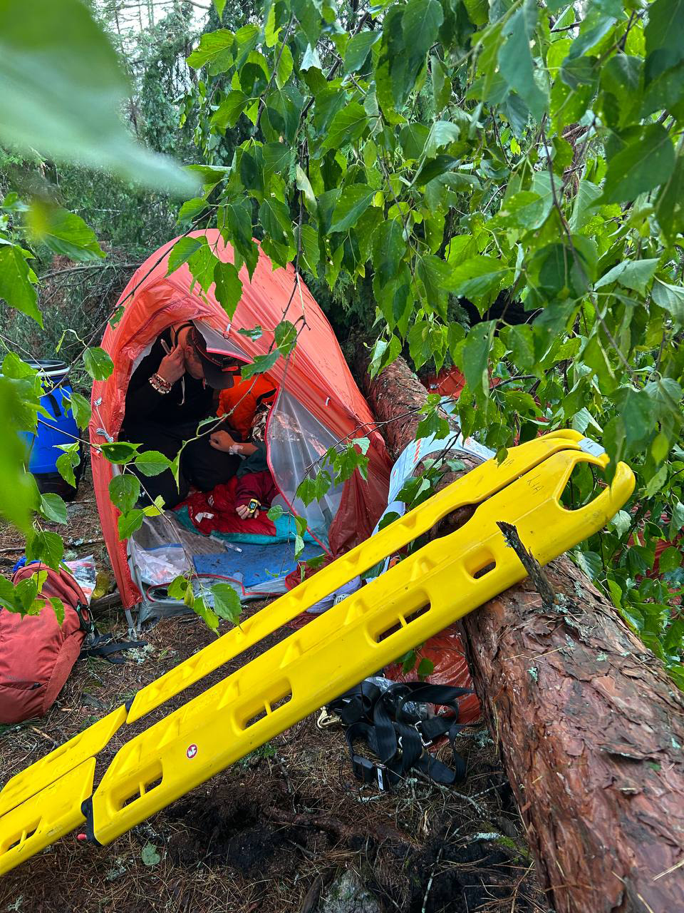 tent with a fallen tree on the right side, paramedic and patient inside